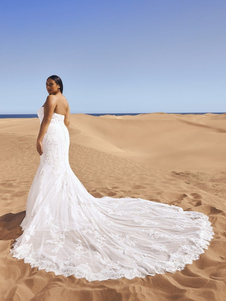 Plus size wedding dresses hot sale with sleeves and color