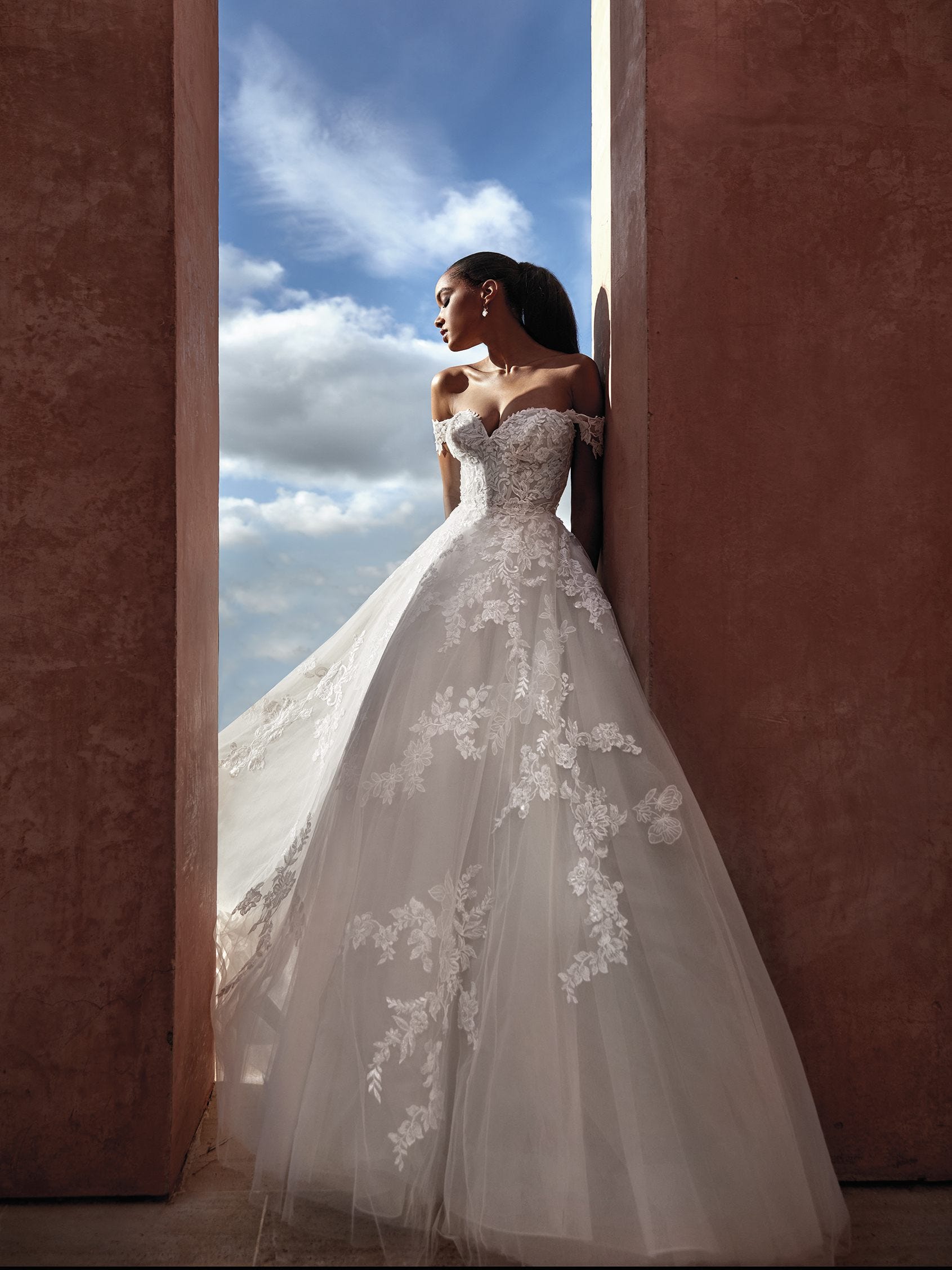 Voile pronovias shop