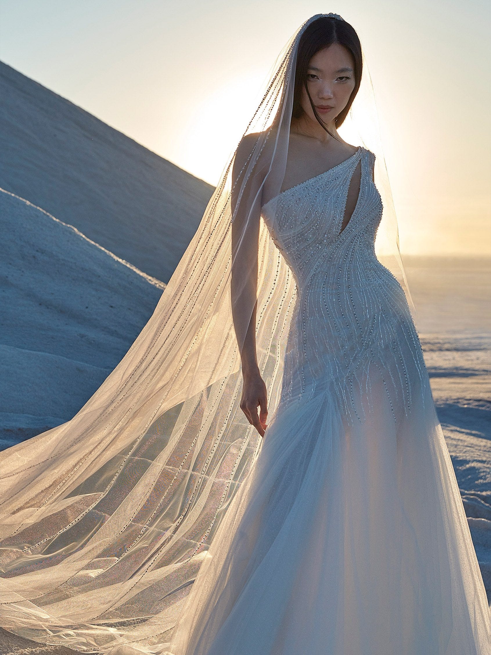 Pronovias accessoires online