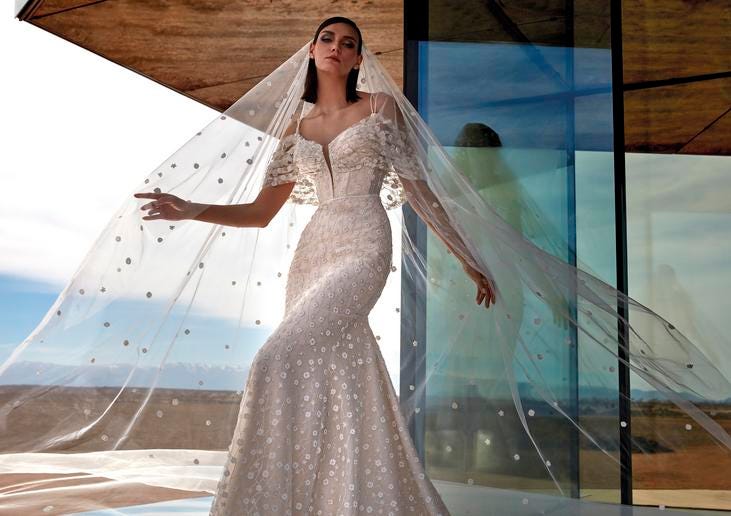 Dark-haired woman wearing a beaded veil and fit-and-flare beaded wedding dress