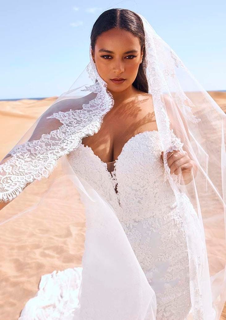 Une mariée élégante dans une robe de mariage sirène en dentelle à bustier. La mariée arbore un voile transparent en dentelle